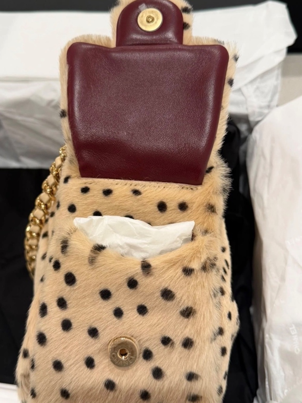 CHANEL 26A Metiers D’art Beige Pony Hair Beige Mini 25 Bag Matthieu Blazy - Picture 5 of 5